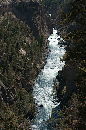 20100915-Yellowstone NP-6348 © SunBaked Photography