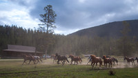 20070909 - Elkhorn Ranch, MT - 026 © SunBaked Photography