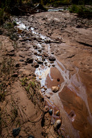 20141106-Zion National Park-0211 © Sunbaked Photography
