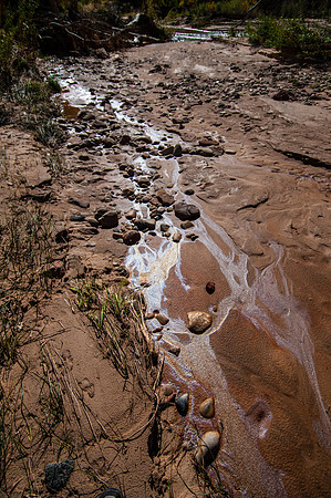 20141106-Zion National Park-0211 © Sunbaked Photography