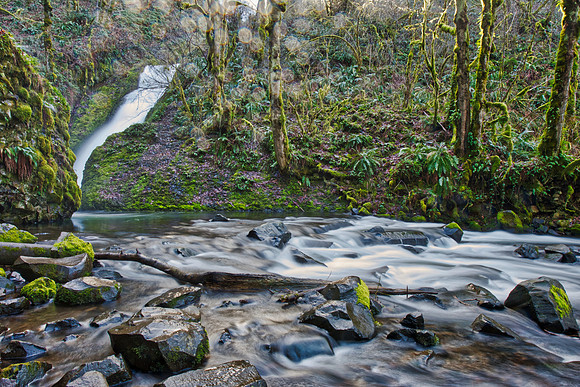 20180206-Oregon-0007 © Sunbaked Photography