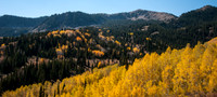 20121001-Big Cottonwood Canyon-0112© Sunbaked Photography