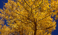 20121017-Little Cottonwood Canyon-0005© Sunbaked Photography