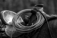 20070909 - Elkhorn Ranch, MT - 175 © SunBaked Photography