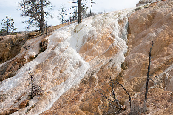 20100915-Yellowstone NP-6478 © SunBaked Photography