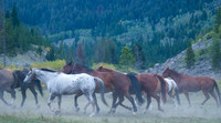 20070909 - Elkhorn Ranch, MT - 208 © SunBaked Photography