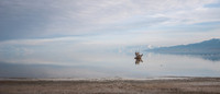 Antelope Island