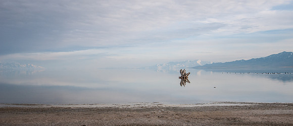 20130325-Antelope Island-0003-Sunbaked Photography