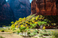 20141106-Zion National Park-0180 © Sunbaked Photography