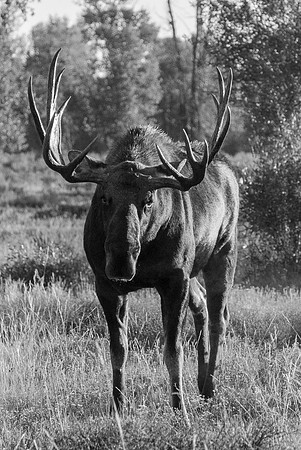 20100911-Mentor Series Grand Teton Trek-3750 © SunBaked Photography