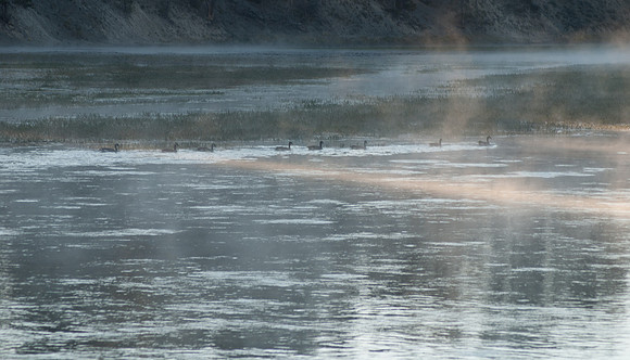20070911 - Yellowstone NP - 784 © SunBaked Photography