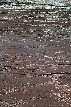 20070911 - Yellowstone NP - 916 © SunBaked Photography