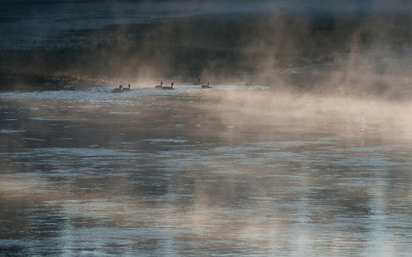 20070911 - Yellowstone NP - 786 © SunBaked Photography