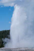 20070908 - Yellowstone NP - 512 © SunBaked Photography