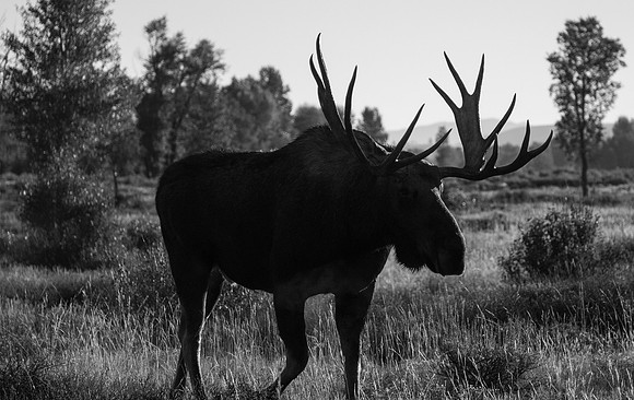 20100911-Mentor Series Grand Teton Trek-3755 © SunBaked Photography