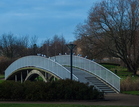 20071130 - Haderslev - 093 © SunBaked Photography