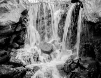 20140502-Tulip Festival-0025 © Sunbaked Photography