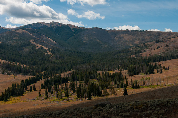 20100915-Yellowstone NP-6290 © SunBaked Photography