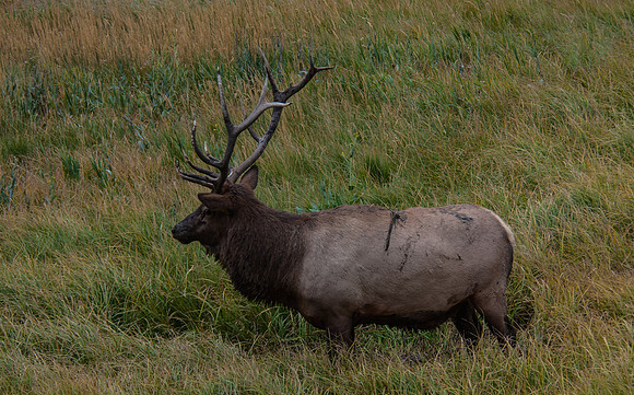 20100914-Yellowstone NP-5151 © SunBaked Photography