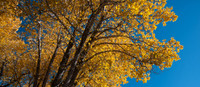 20121017-Little Cottonwood Canyon-0029© Sunbaked Photography