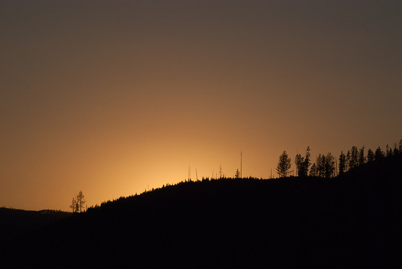 20070911 - Yellowstone NP - 981 © SunBaked Photography