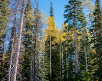 20121001-Big Cottonwood Canyon-0078© Sunbaked Photography