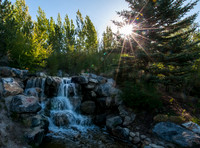 20140502-Tulip Festival-0015 © Sunbaked Photography