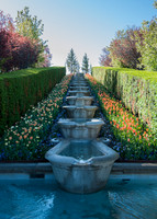 20140502-Tulip Festival-0056 © Sunbaked Photography
