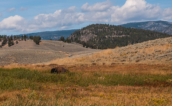 20100915-Yellowstone NP-6360 © SunBaked Photography