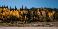 20121001-Big Cottonwood Canyon-0047© Sunbaked Photography