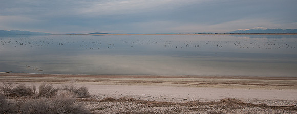 20130325-Antelope Island-0011-Sunbaked Photography