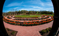 20140502-Tulip Festival-0115 © Sunbaked Photography
