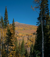 20121001-Big Cottonwood Canyon-0071© Sunbaked Photography