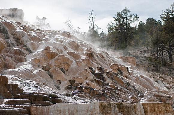 20100915-Yellowstone NP-6482 © SunBaked Photography