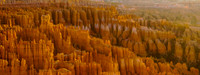20080411 - Bryce Canyon NP - 118 © SunBaked Photography