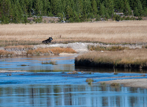 20100915-Yellowstone NP-6116 © SunBaked Photography