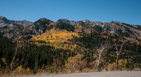 20121001-Big Cottonwood Canyon-0057© Sunbaked Photography