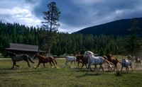 20070909 - Mentor Series Montana - 0964 © SunBaked Photography