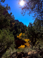 20141105-Zion National Park - iPhone-0581 © Sunbaked Photography