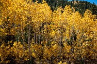 20121001-Big Cottonwood Canyon-0040© Sunbaked Photography