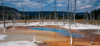 20070908 - Yellowstone NP - 327 © SunBaked Photography