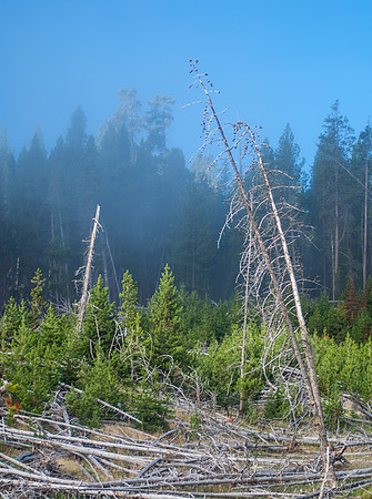 20070911 - Yellowstone NP - 799 © SunBaked Photography