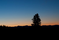 20070911 - Yellowstone NP - 731 © SunBaked Photography