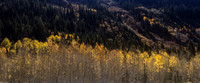 Little Cottonwood Canyon