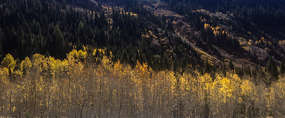 20121017-Little Cottonwood Canyon-0003© Sunbaked Photography
