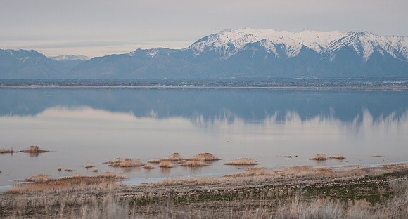 20130325-Antelope Island-0050-Sunbaked Photography