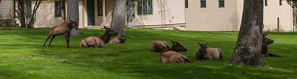 20100915-Yellowstone NP-6450 © SunBaked Photography