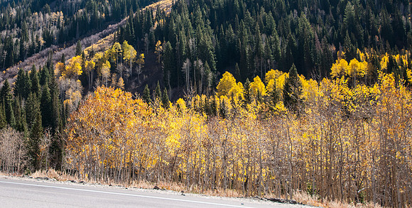 20121017-Little Cottonwood Canyon-0027© Sunbaked Photography